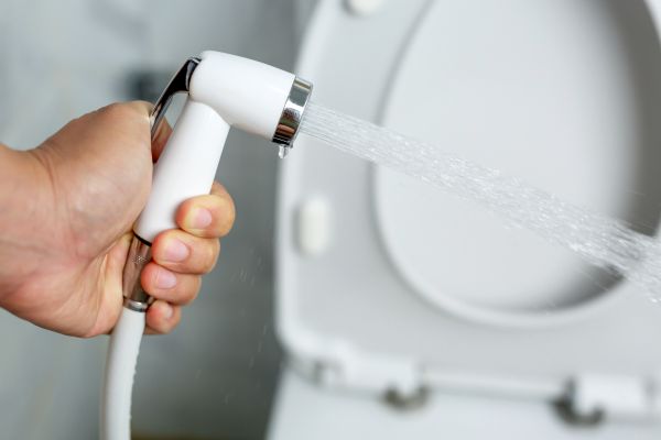 Bidet Installation in Pearland