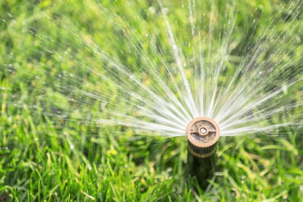 Cost of Spigot Installation in Pearland