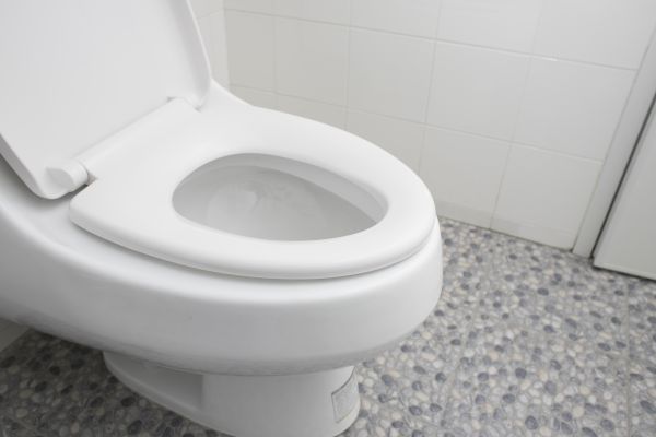 Cost of New Toilet Installation in Pearland